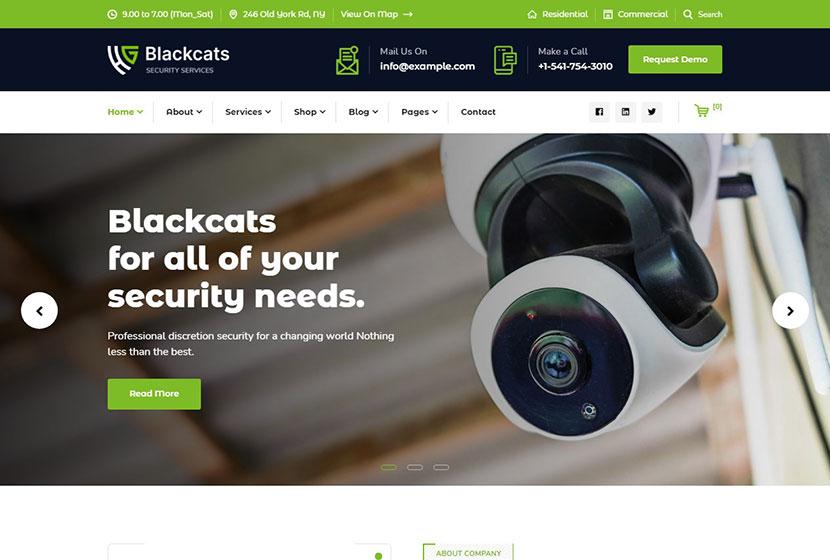 Blackcats - CCTV 和安全 WordPress 主題