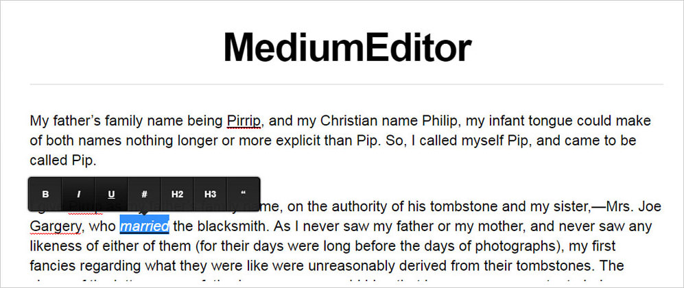 Picture of Medium Text Editor