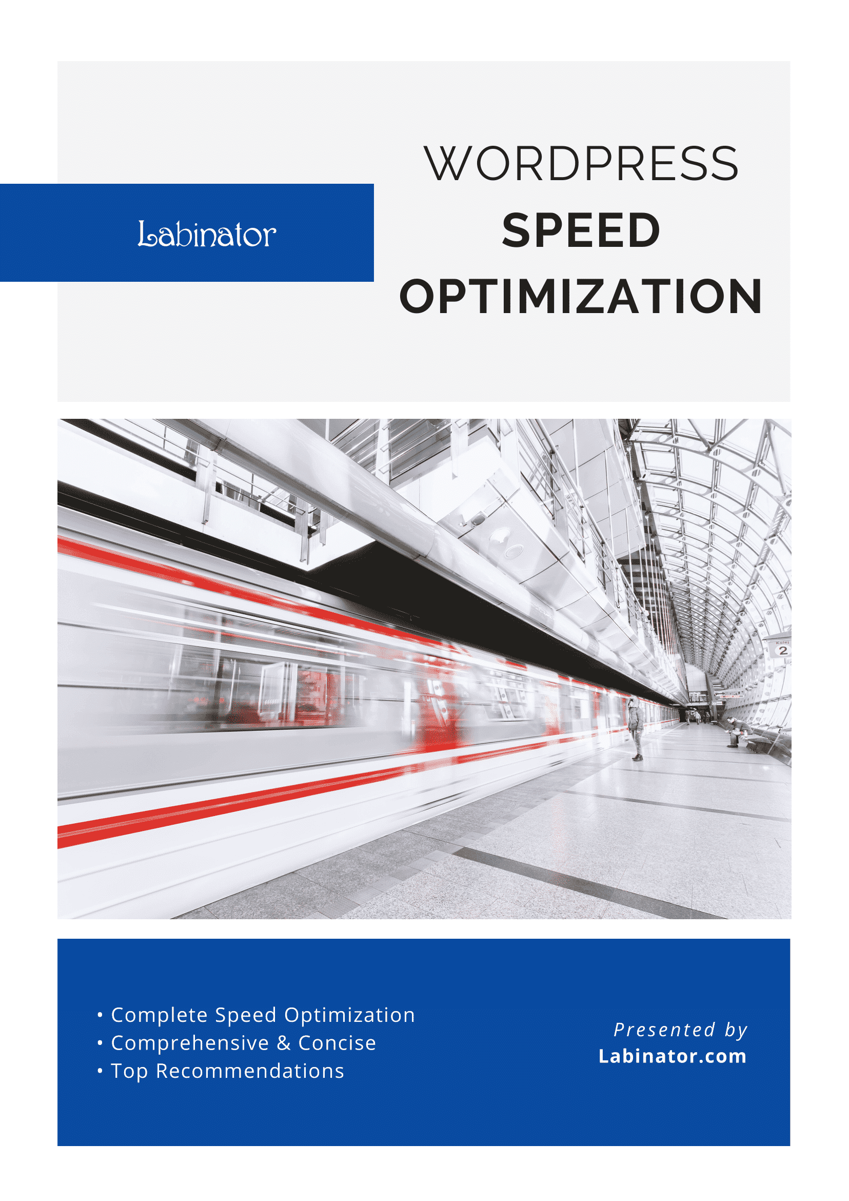 WordPress Speed Optimization