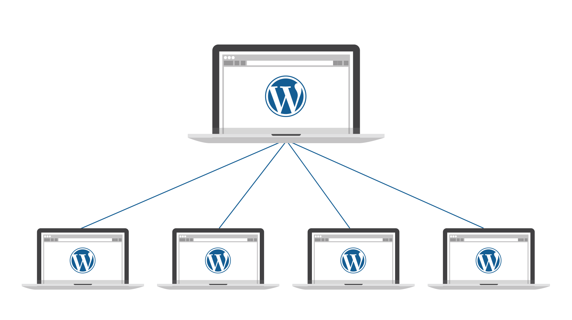 WordPress Multisite Installation