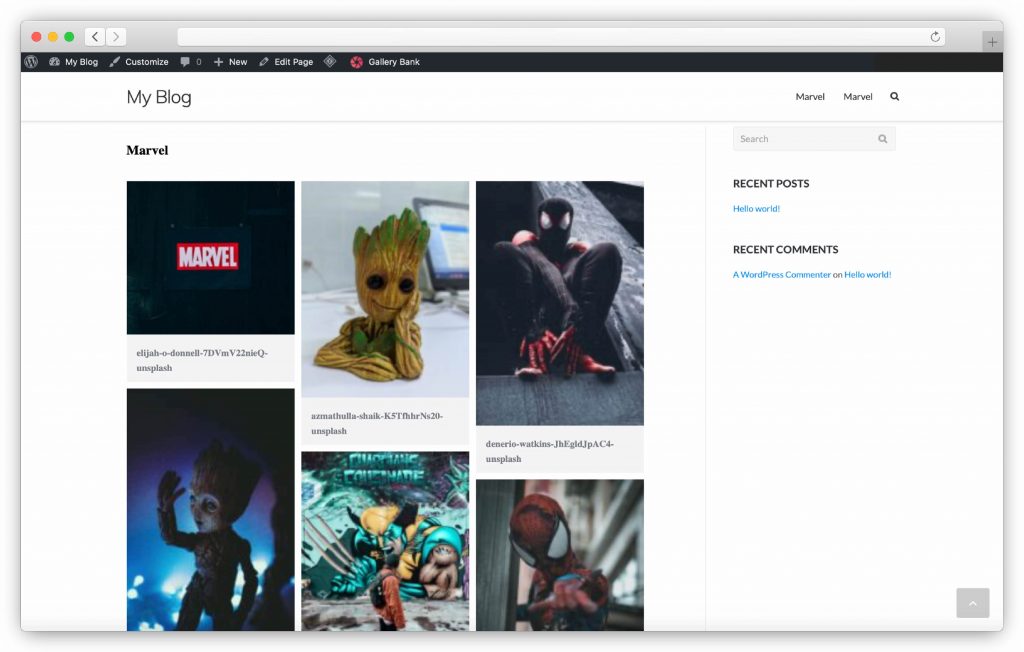 interface da galeria de imagens - plugin da galeria WP