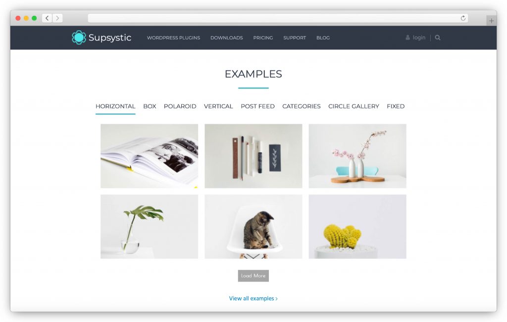 Interface Supsystic - plugin da galeria WP