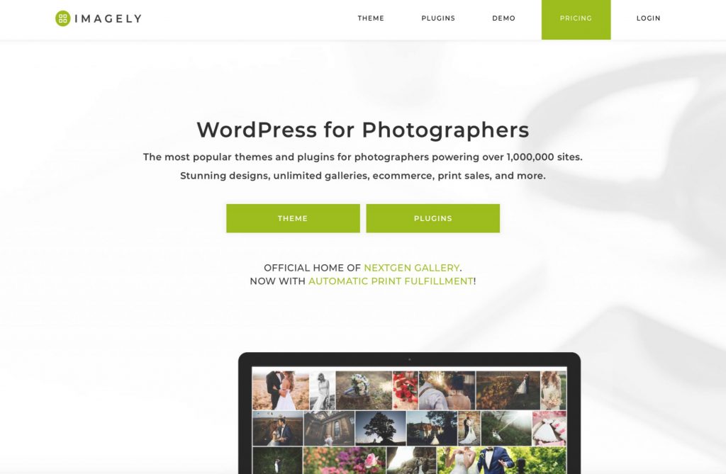 Plugin portofolio WordPress