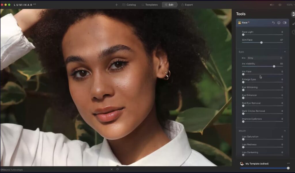 Photoshop alternatifi Luminar AI