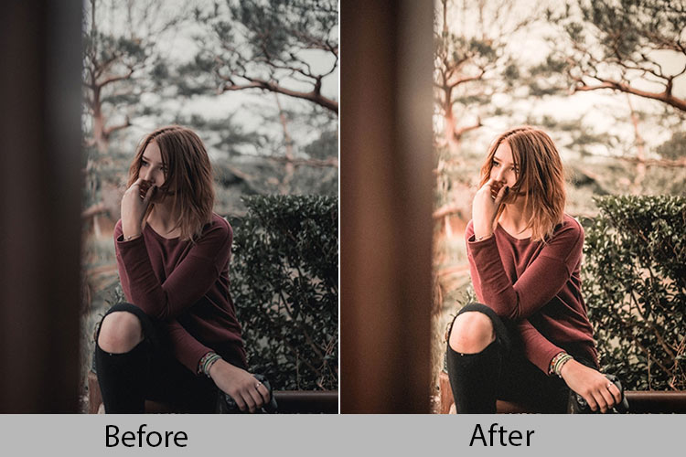 Классический яркий пресет Lightroom