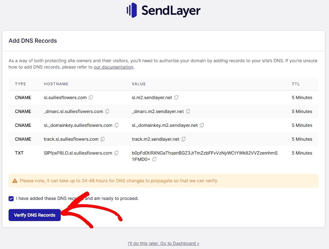 SendLayer verifică înregistrările DNS