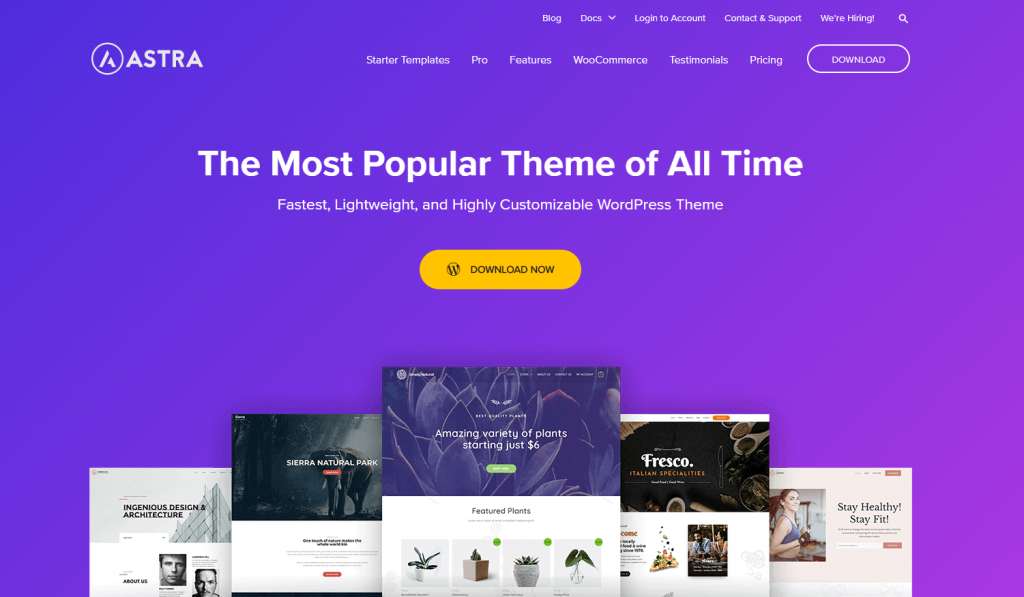 The Astra WordPress theme website.