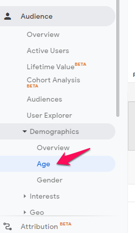 อัตราตีกลับตามอายุ google analtyics