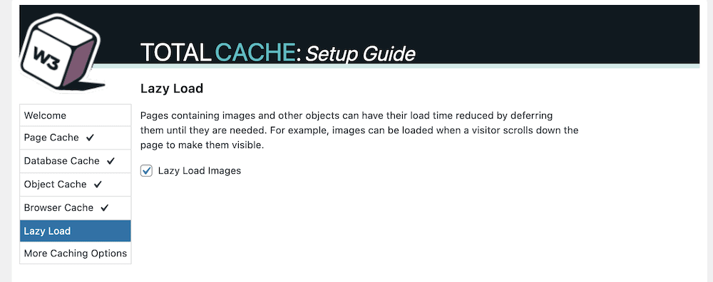 Sekcja Lazy Load w Podręczniku konfiguracji wtyczki W3 Total Cache.