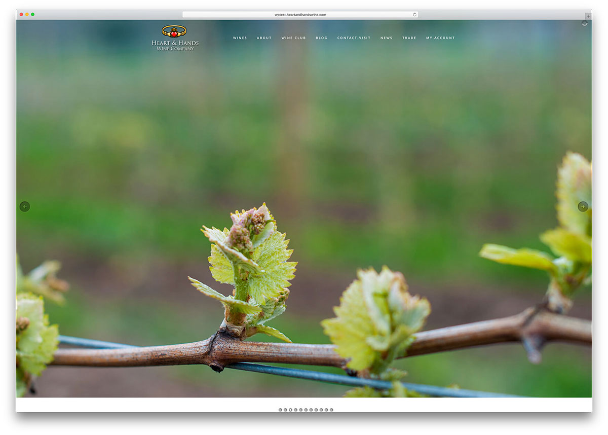 heartandhandswine-wine-company-site-cu-vizual-compozitor