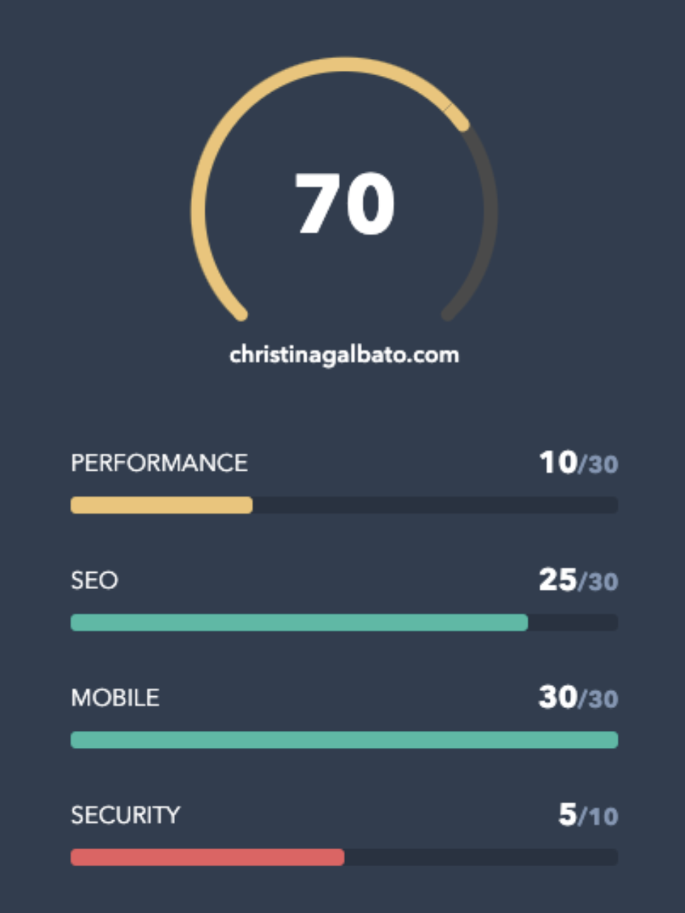 Web sitesi denetim performans sonuçları