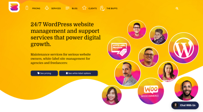 Site güvenliği için harika olan WP Buffs, mükemmel bir WordPress yönetim hizmetidir.