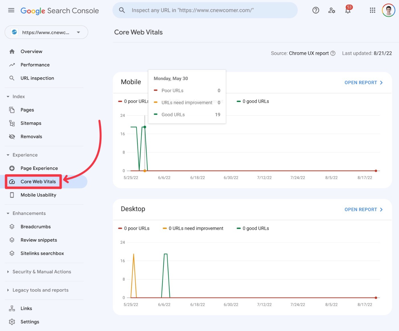 Raportul Core Web Vitals Search Console