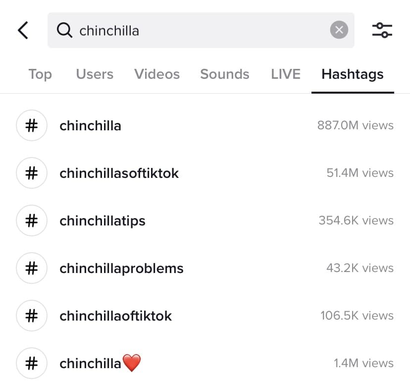 Cele mai bune hashtag-uri TikTok pentru chinchilla