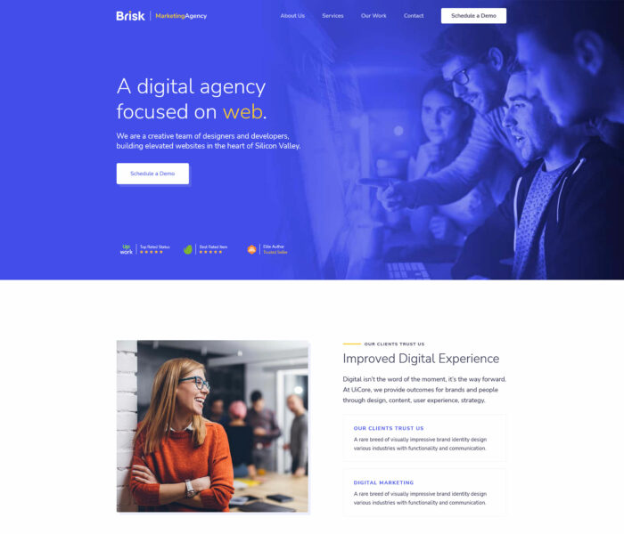 brisk elementor wordpress theme