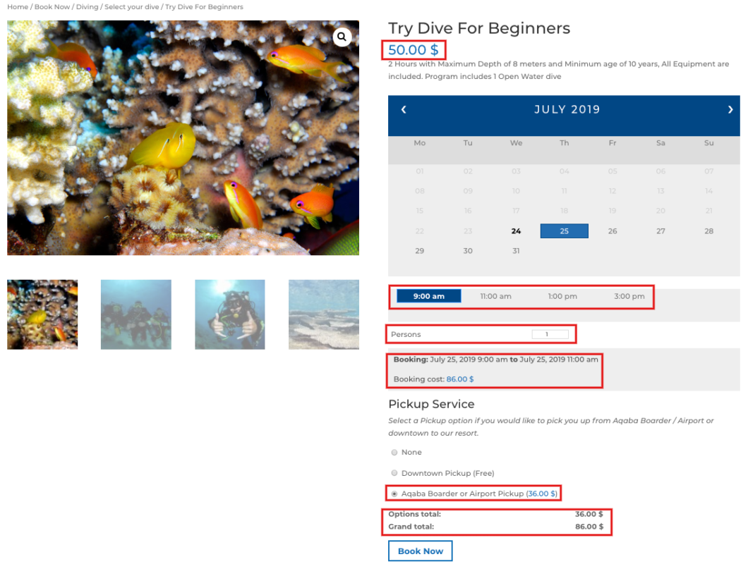 Experimente o mergulho para iniciantes