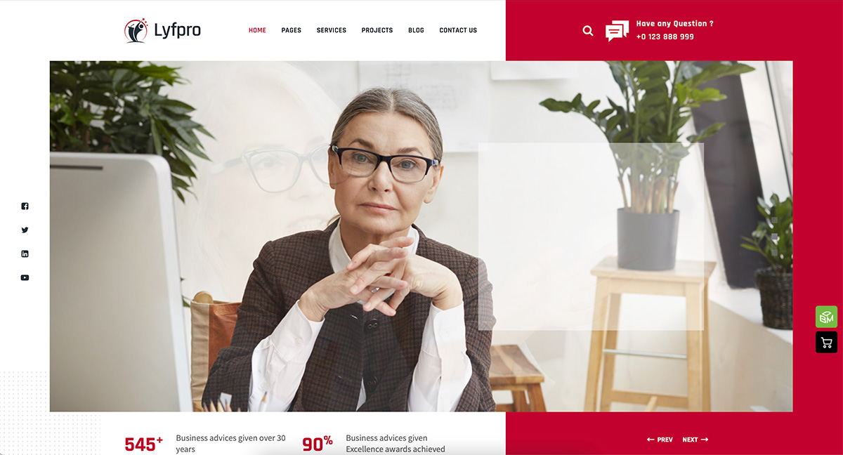 Lyfpro WordPress Lebensberater-Theme