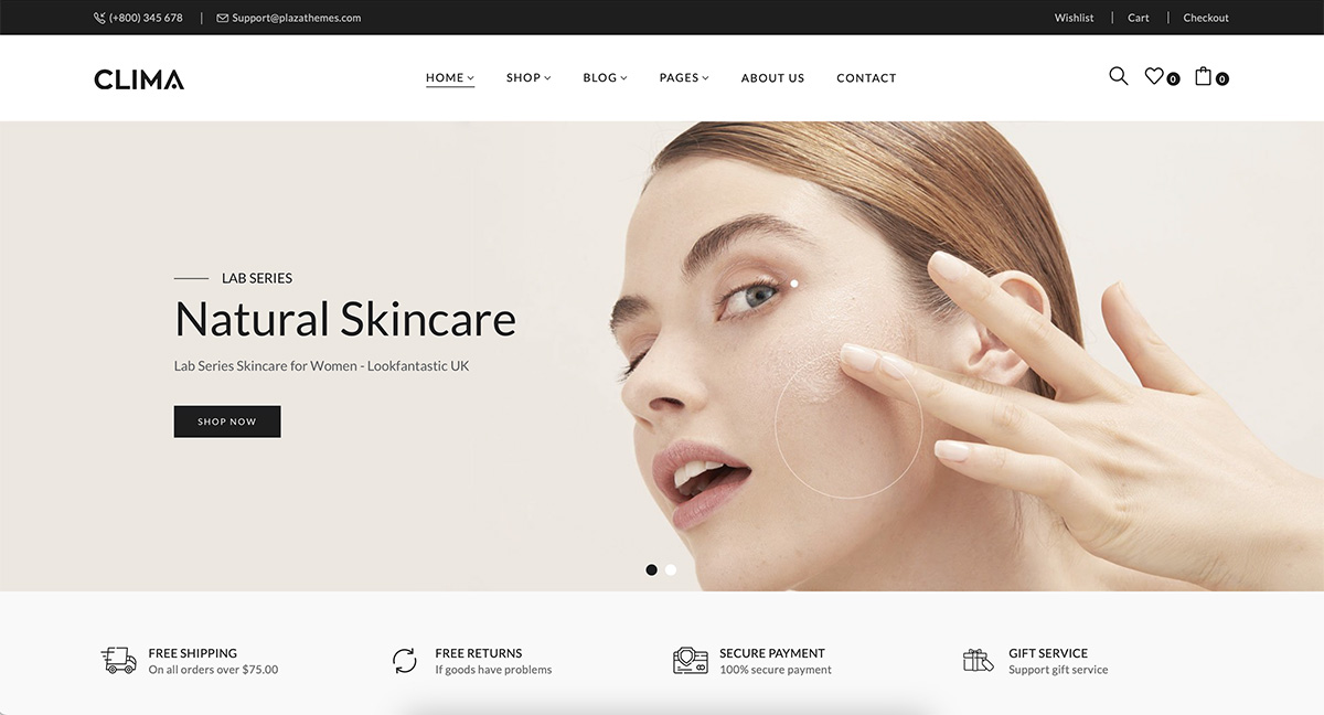 Thème WordPress pour les soins de la peau Clima