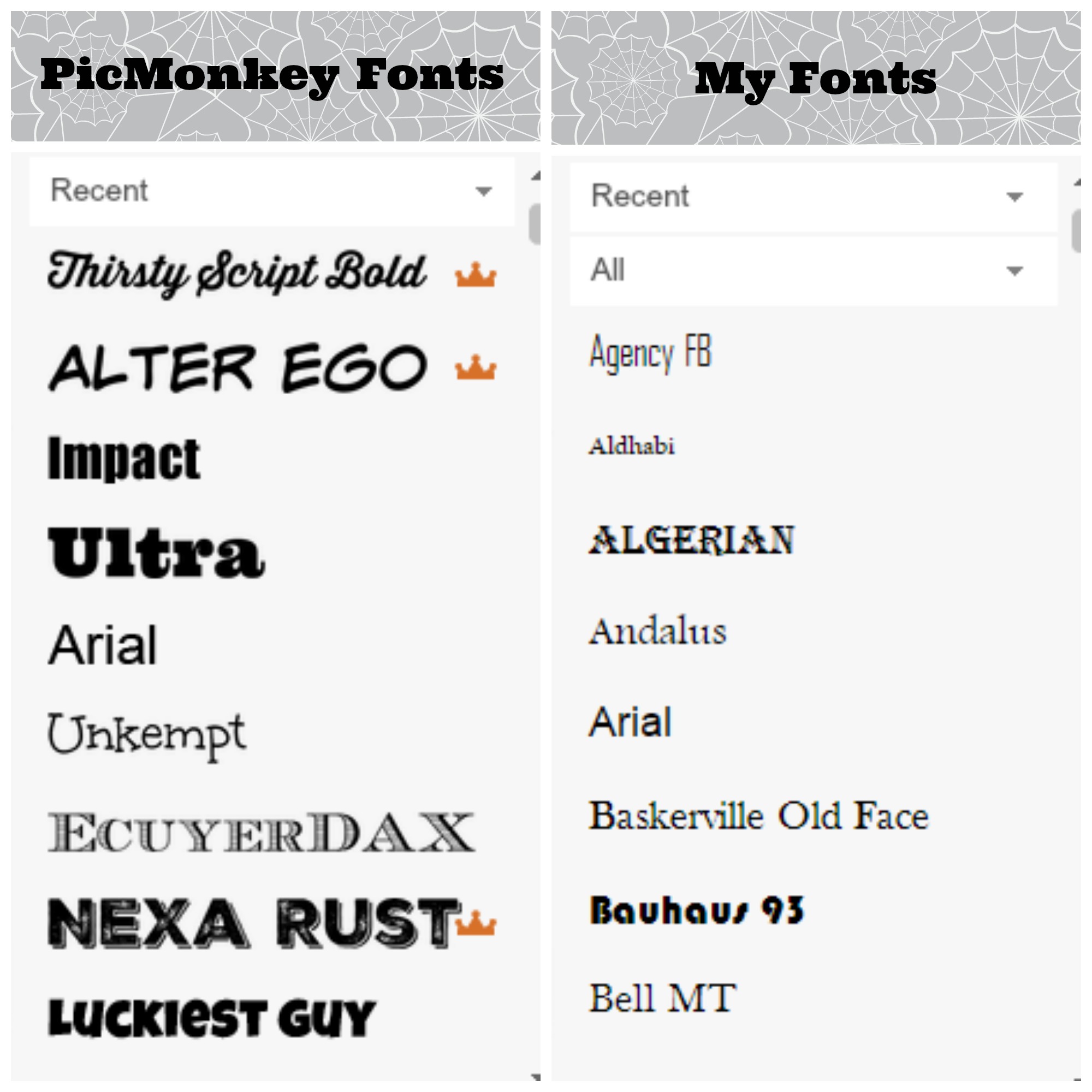 Bisakah Anda Mengimpor Font ke Picmonkey?