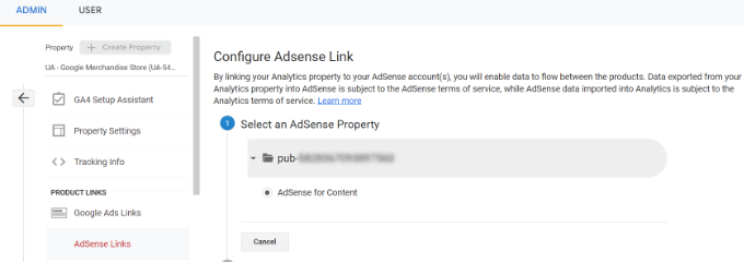 Select your AdSense property