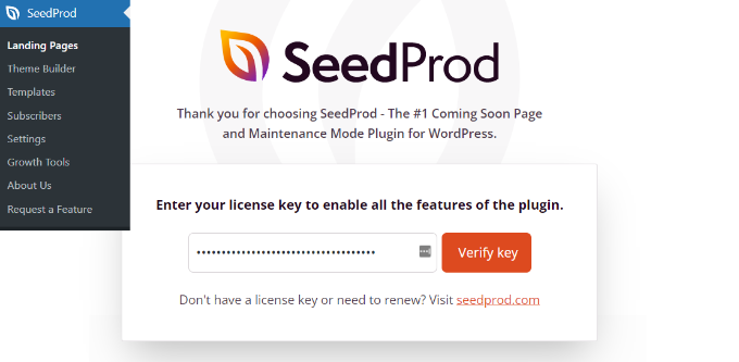 أدخل مفتاح ترخيص SeedProd