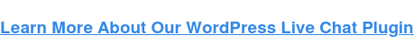 了解有关我们的 WordPress 实时聊天插件的更多信息