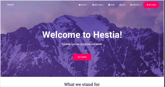 Tema gratuito Hestia