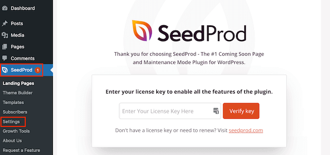 SeedProd ライセンスの入力