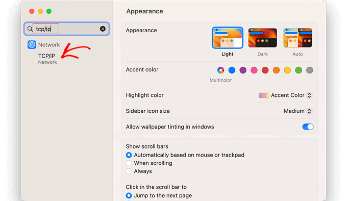 Mac のシステム設定で、「TCP/IP」を検索します