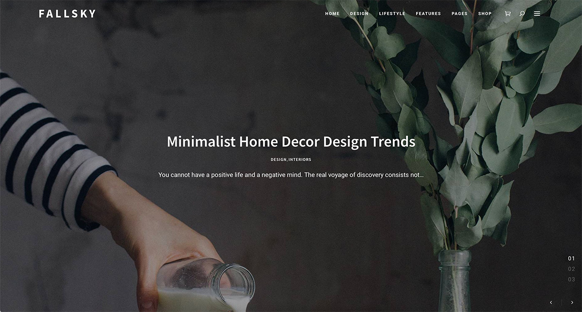 Tema WordPress de estilo de vida Fallsky