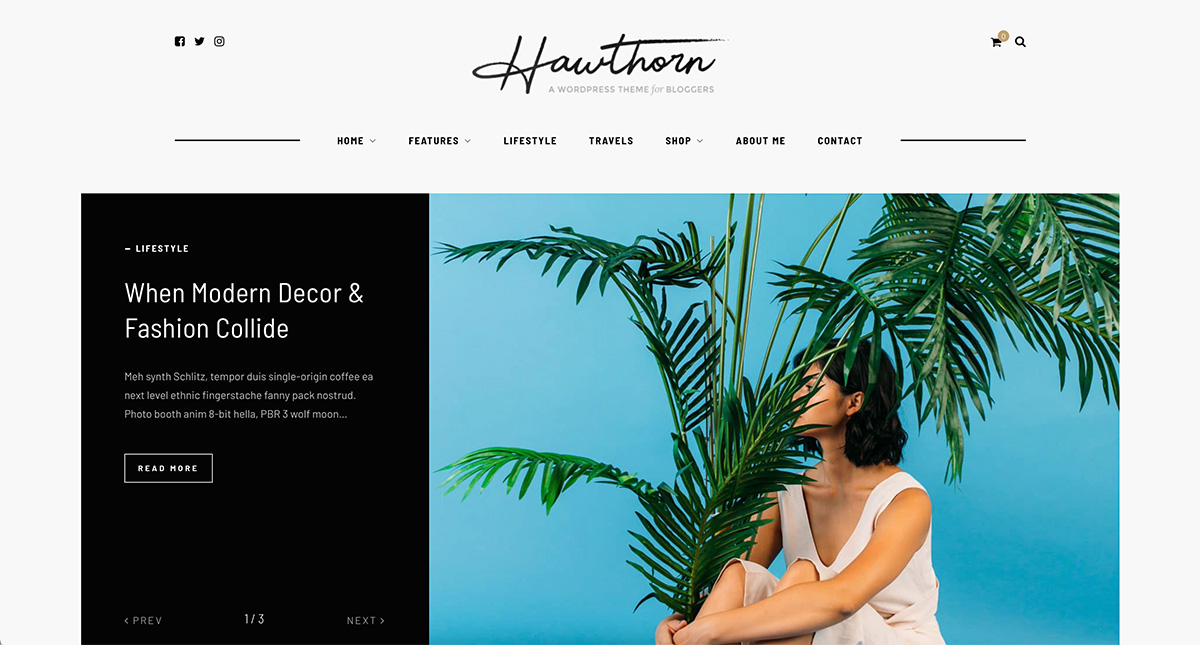 ธีม WordPress ไลฟ์สไตล์ Hawthorn