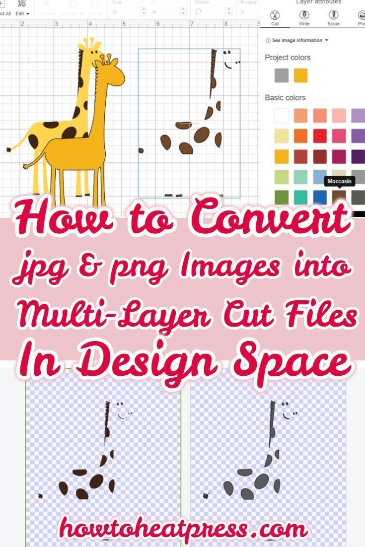 Converti Jpg in Svg con il colore