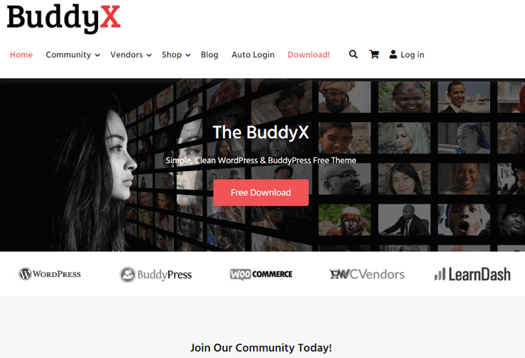 Tema WordPress da Comunidade BuddyX