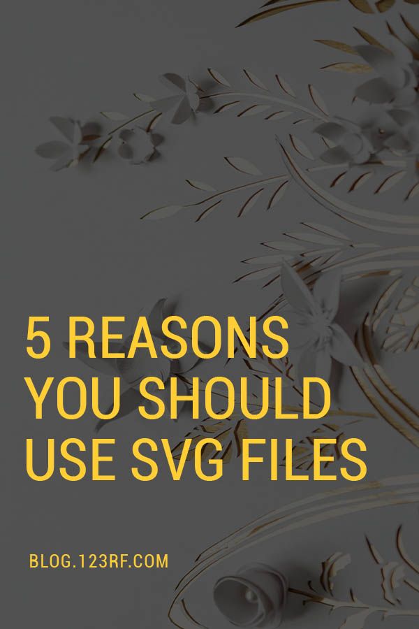 Quando dovresti usare un file Svg?