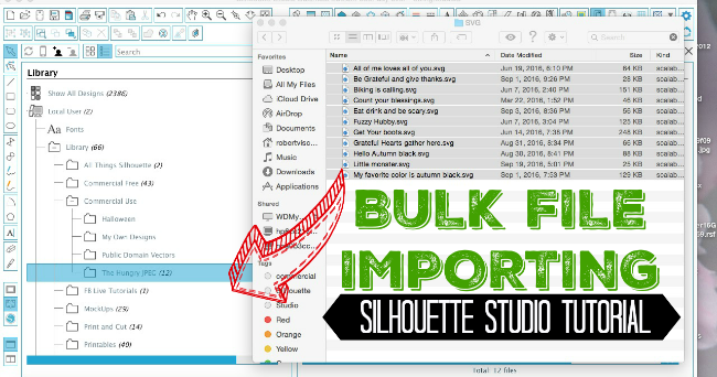 Come posso importare Svg in Silhouette Studio?