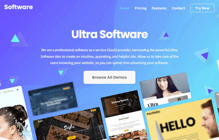 Ultra Çok Amaçlı WordPress Bülten Teması