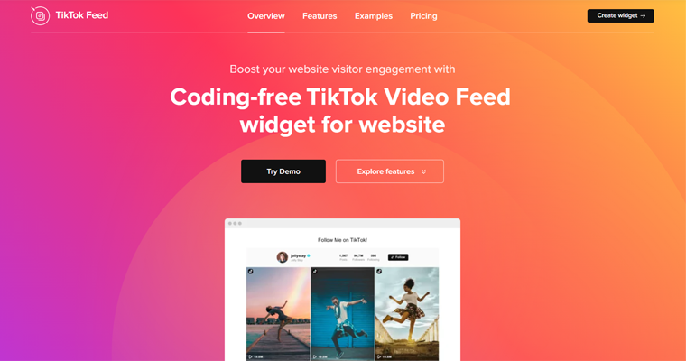 ปลั๊กอิน WordPress ฟีด TikTok