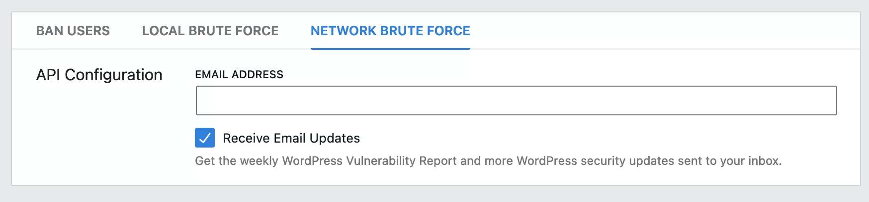 iThemes Security에서 제공하는 네트워크 무차별 대입.