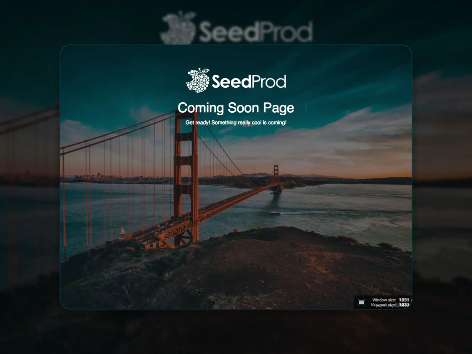 SeedProd WP 플러그인 출시 예정