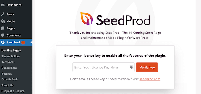 SeedProd 라이선스 키