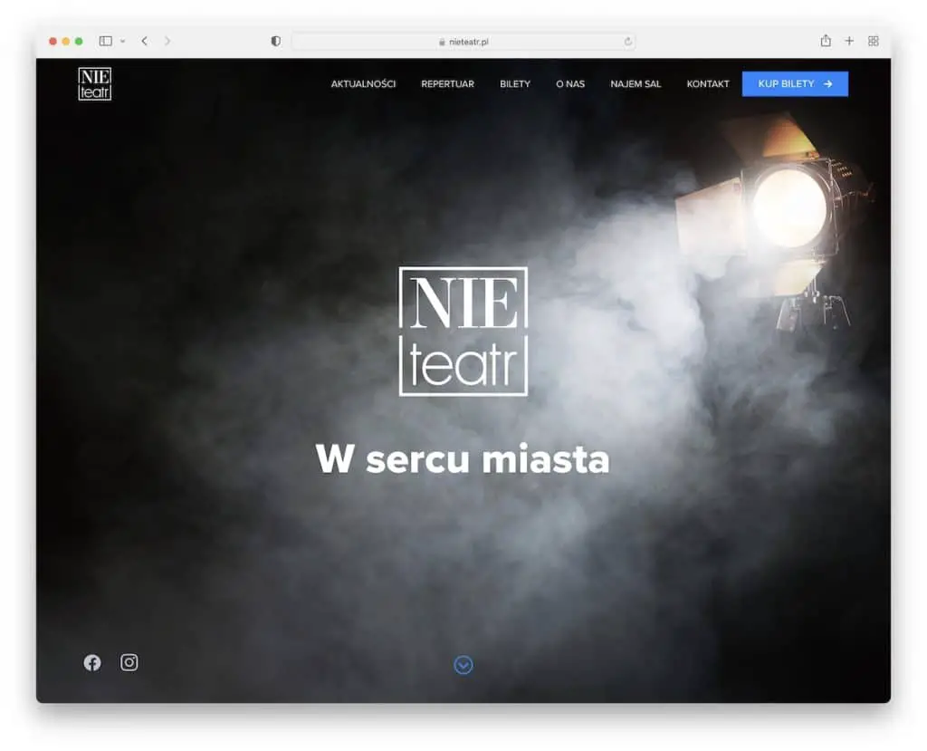 nieteatr tiyatro web sitesi