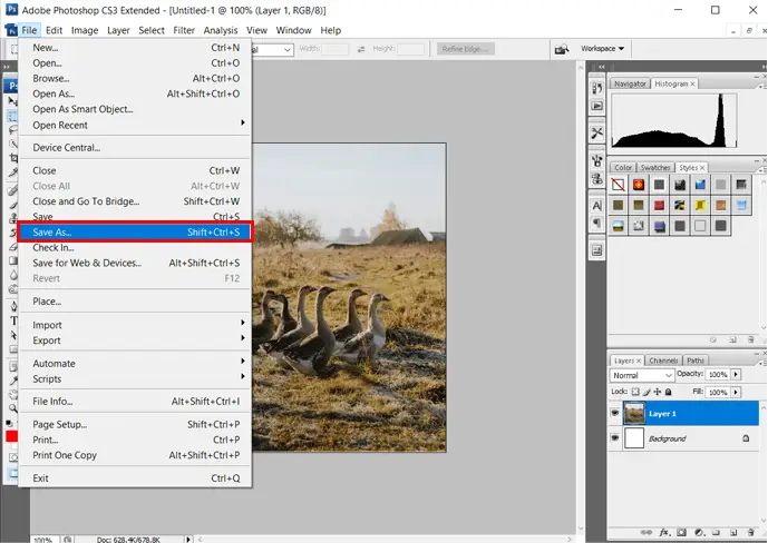 Photoshop'ta Seçenek Olarak Kaydet