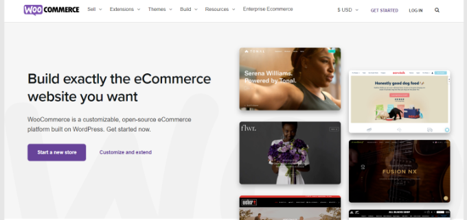 sitio web WooCommerce