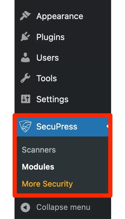 SecuPress メニューのオプション。