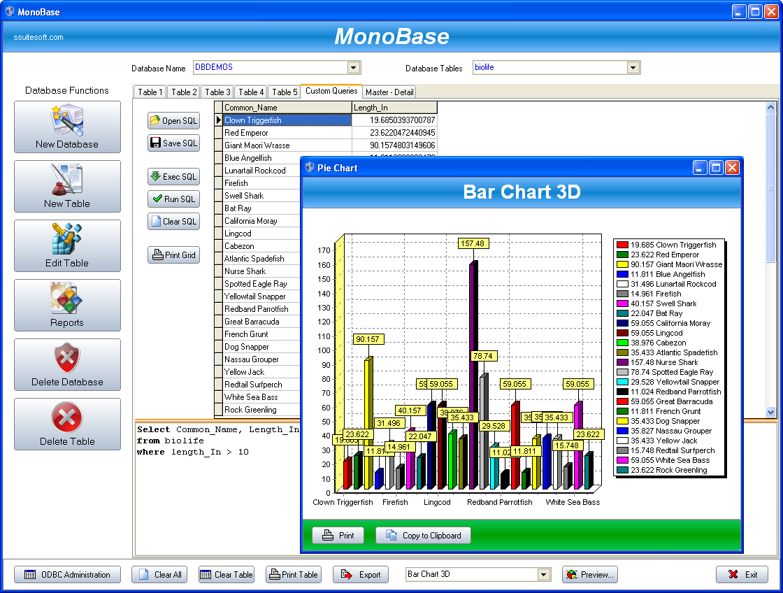 ¿Qué base de datos se utiliza para los informes?