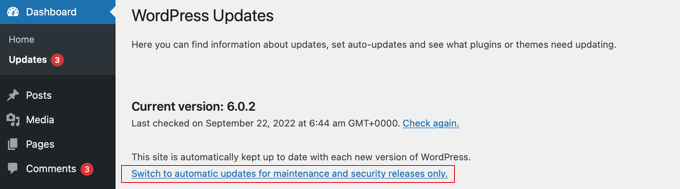 WordPress Automatic Updates window