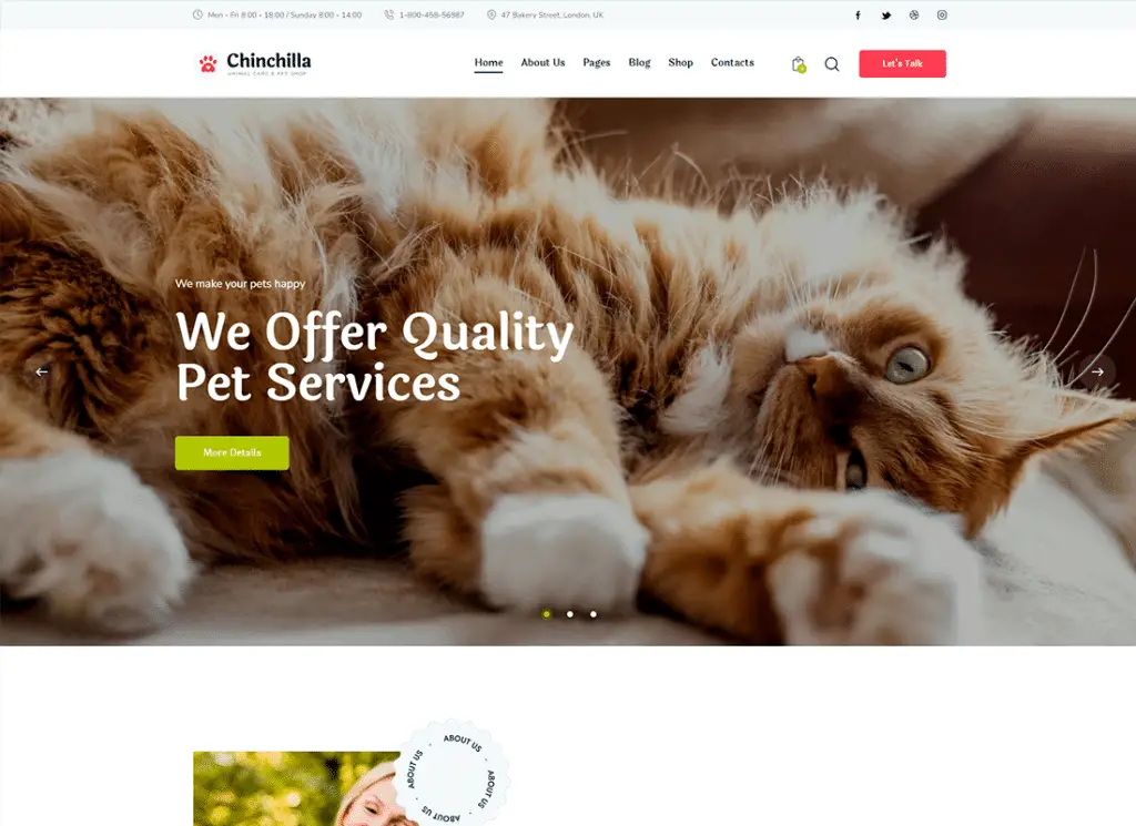 龙猫 |动物护理和宠物店 WordPress 主题