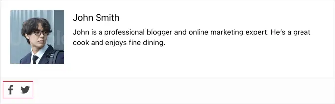 Preview of Simple Author Box with Social Icons