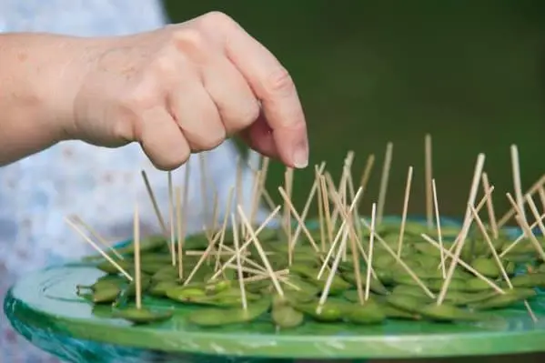 Sampling-Marketing von Edamame