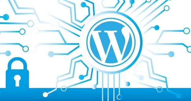 Choose a WordPress Host that Offers Security